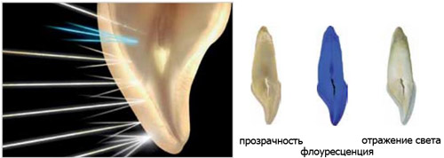 G-aenal отражение света