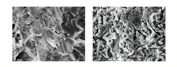 Porcelain Etch porcelain03.png