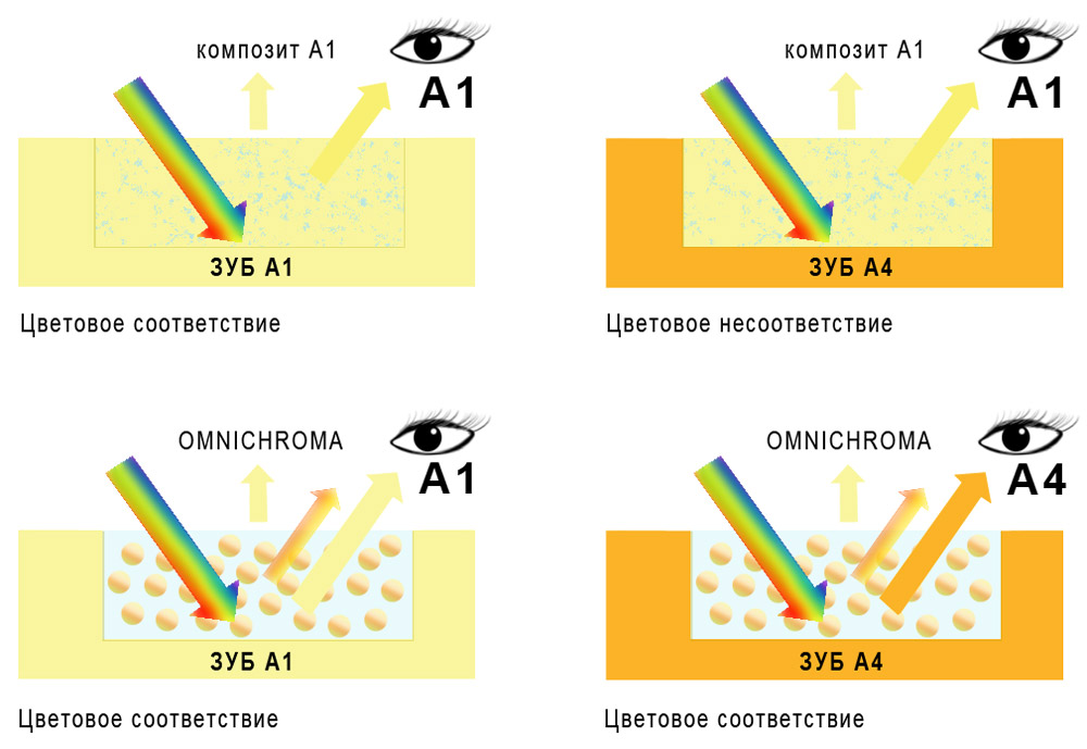 omnichroma omnichroma