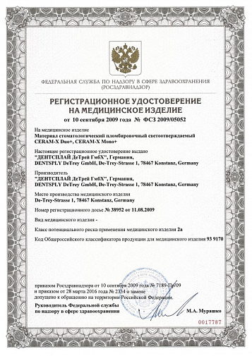 Церам-Икс Дуо плюс (Ceram-X Duo+), D2, дентин, шприц, 3г, 60701352, ДЕНТСПЛАЙ